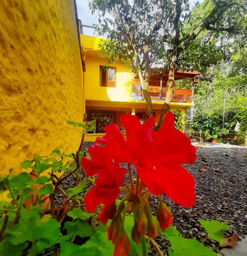 Cafe Racer Hostel خاردين المظهر الخارجي الصورة